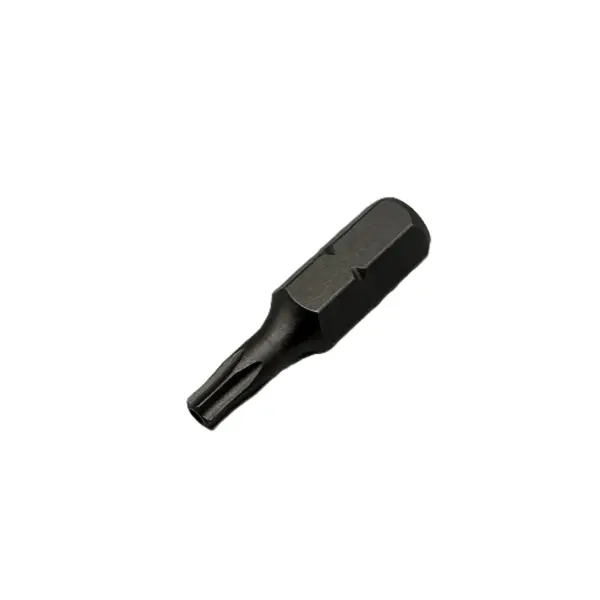 STR Sicherheitsbit  für Robusto Edelstahl Schrauben
